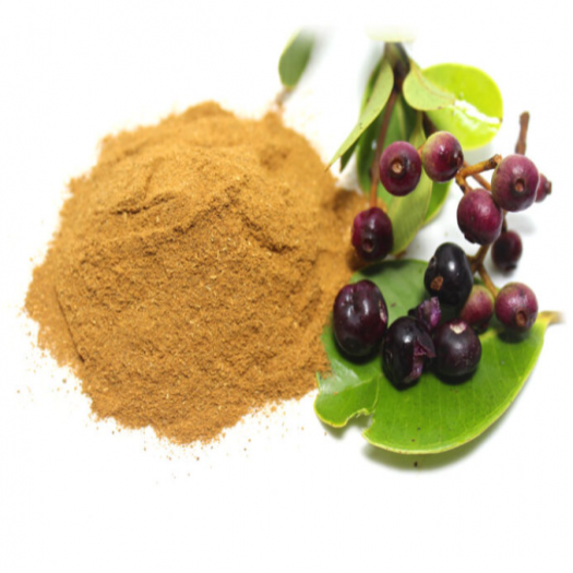 Swadeshi Natural  Jamun Seed Powder